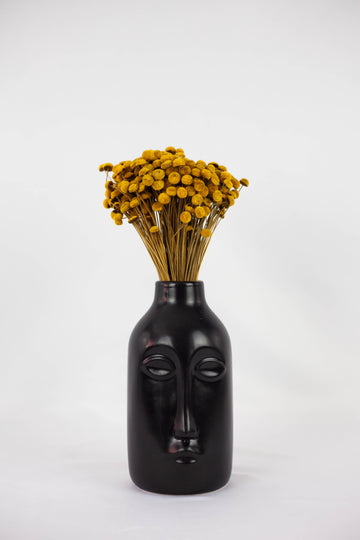 Botao Seco Amarillo