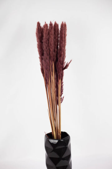 Pluma Decorativa Mini Marrón Oscuro
