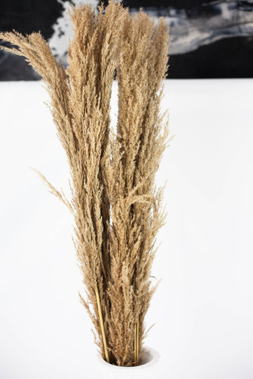 Pluma decorativa natural