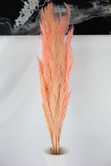 Pluma Decorativa Rosa