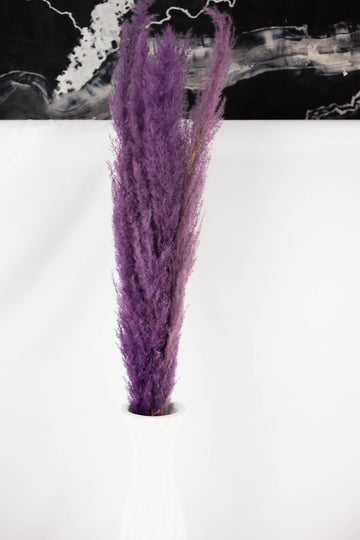 Pluma Decorativa Morada
