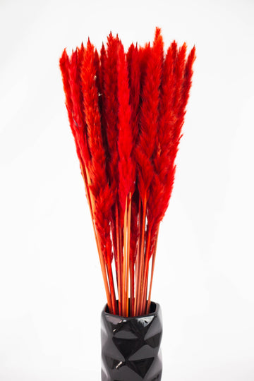 Pluma Decorativa Mini Roja