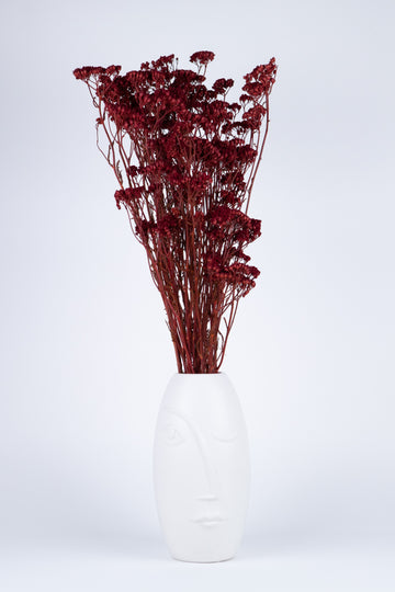 Achillea Silvestre Preservada Roja