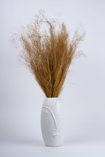 Agrostis Seco Naranja