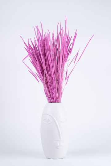 Phleum Preservado Fucsia