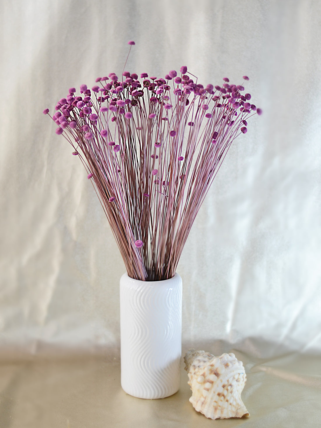 Brooms Blooms Morado