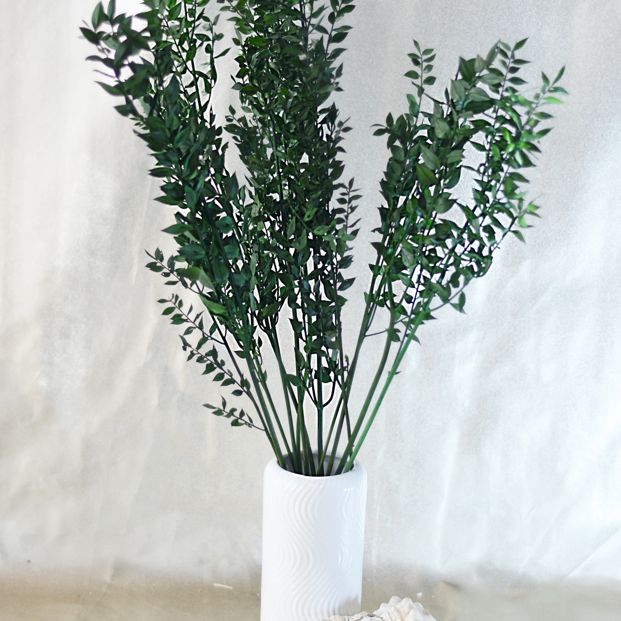 Ruscus Press Natural