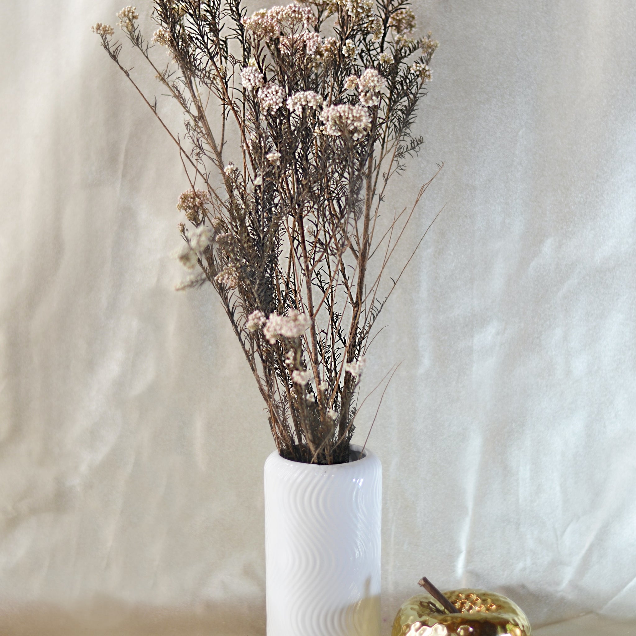 Limonium Natural Pintado Rosa