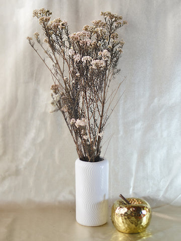 Limonium Natural Pintado Rosa