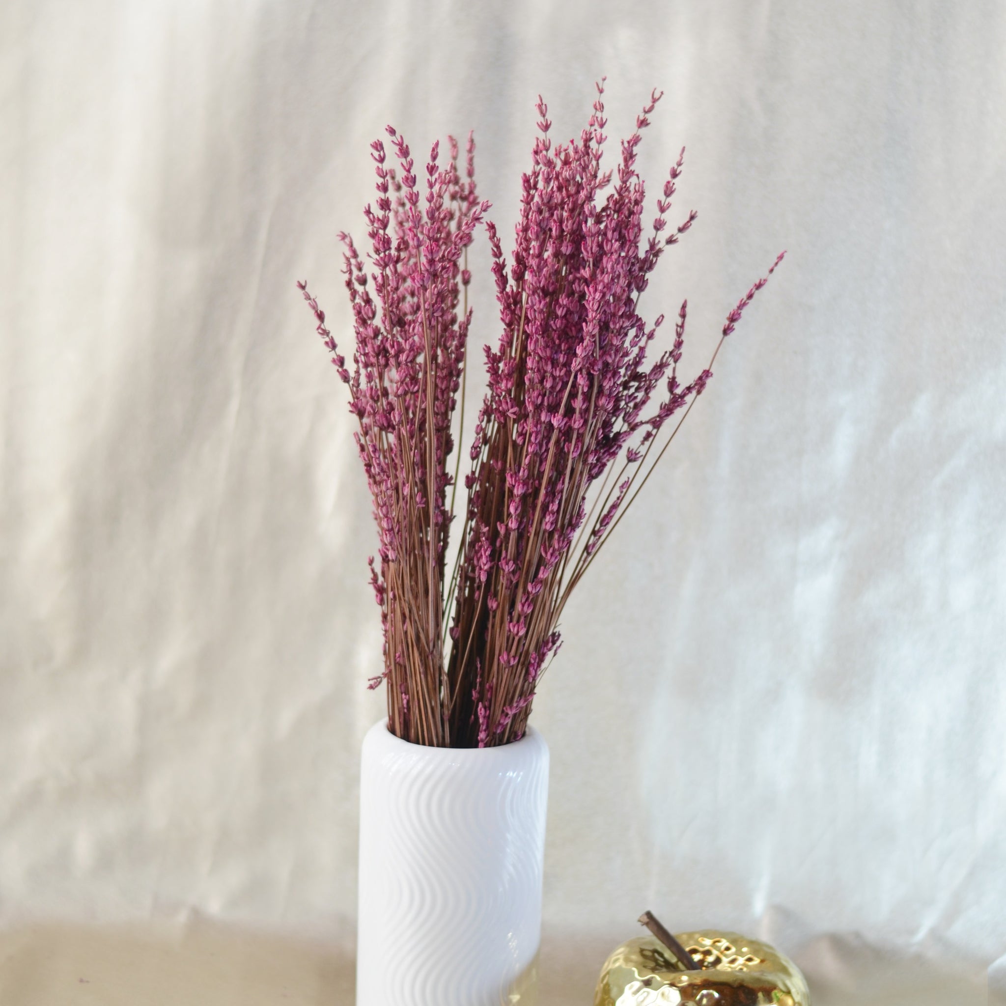 Brooms Blooms Morado