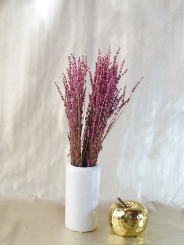 Brooms Blooms Morado