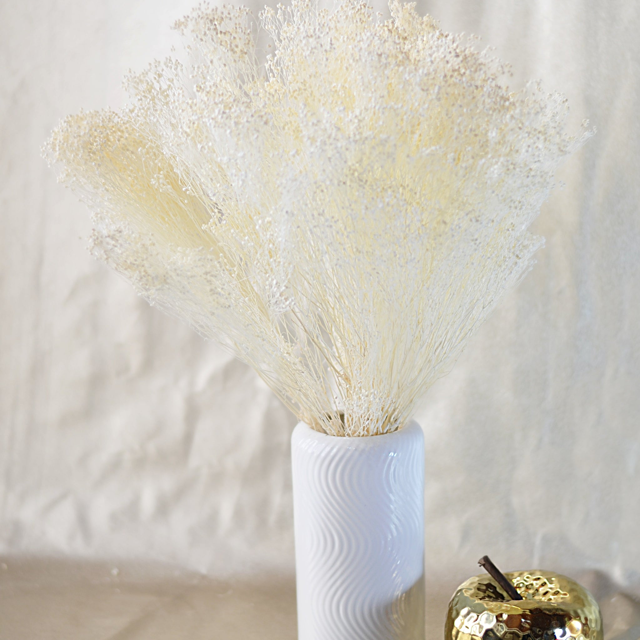 Brooms Blooms Blanco