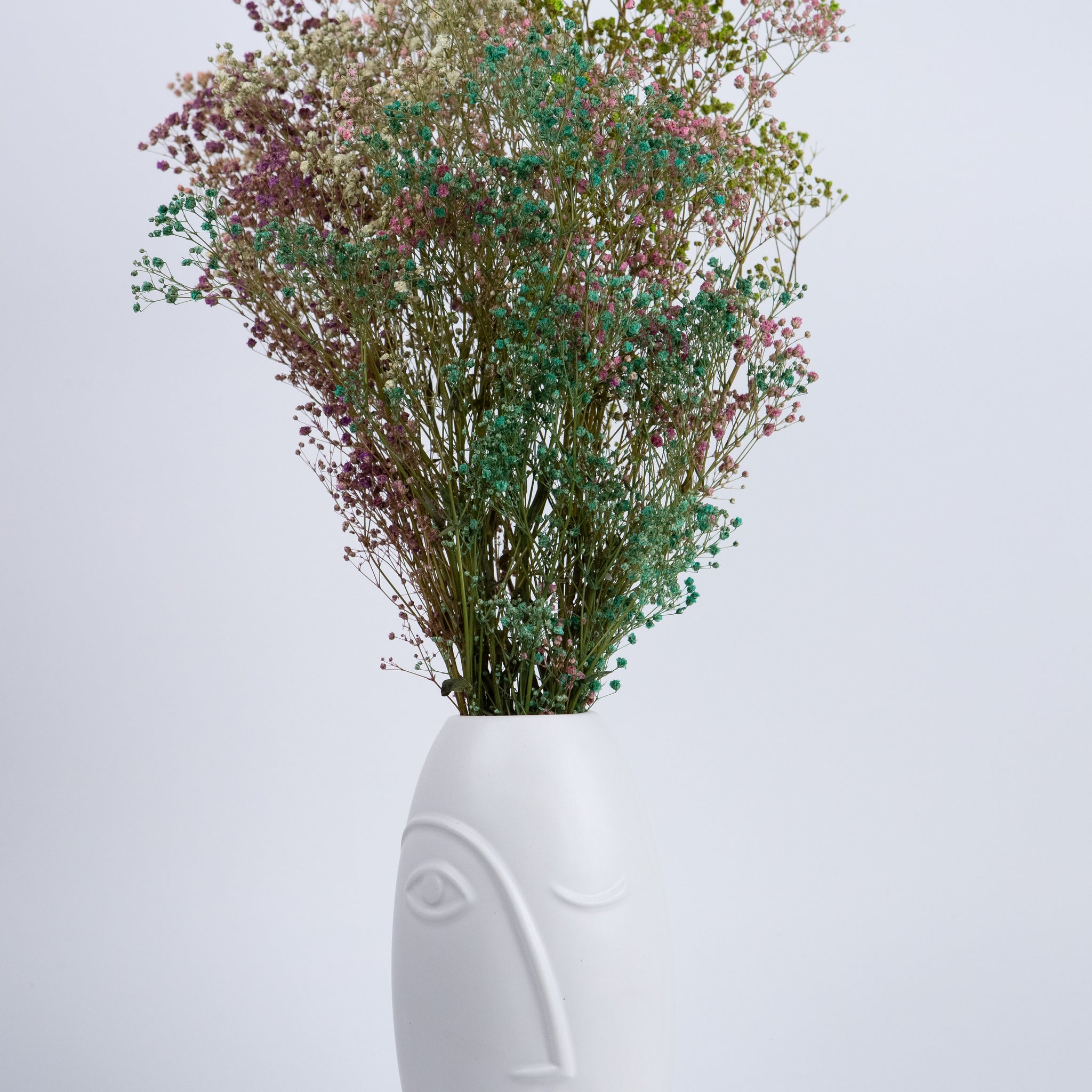 Gypsophila Paniculata Preservada Arlequin