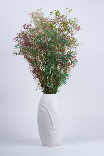 Gypsophila Paniculata Preservada Arlequin