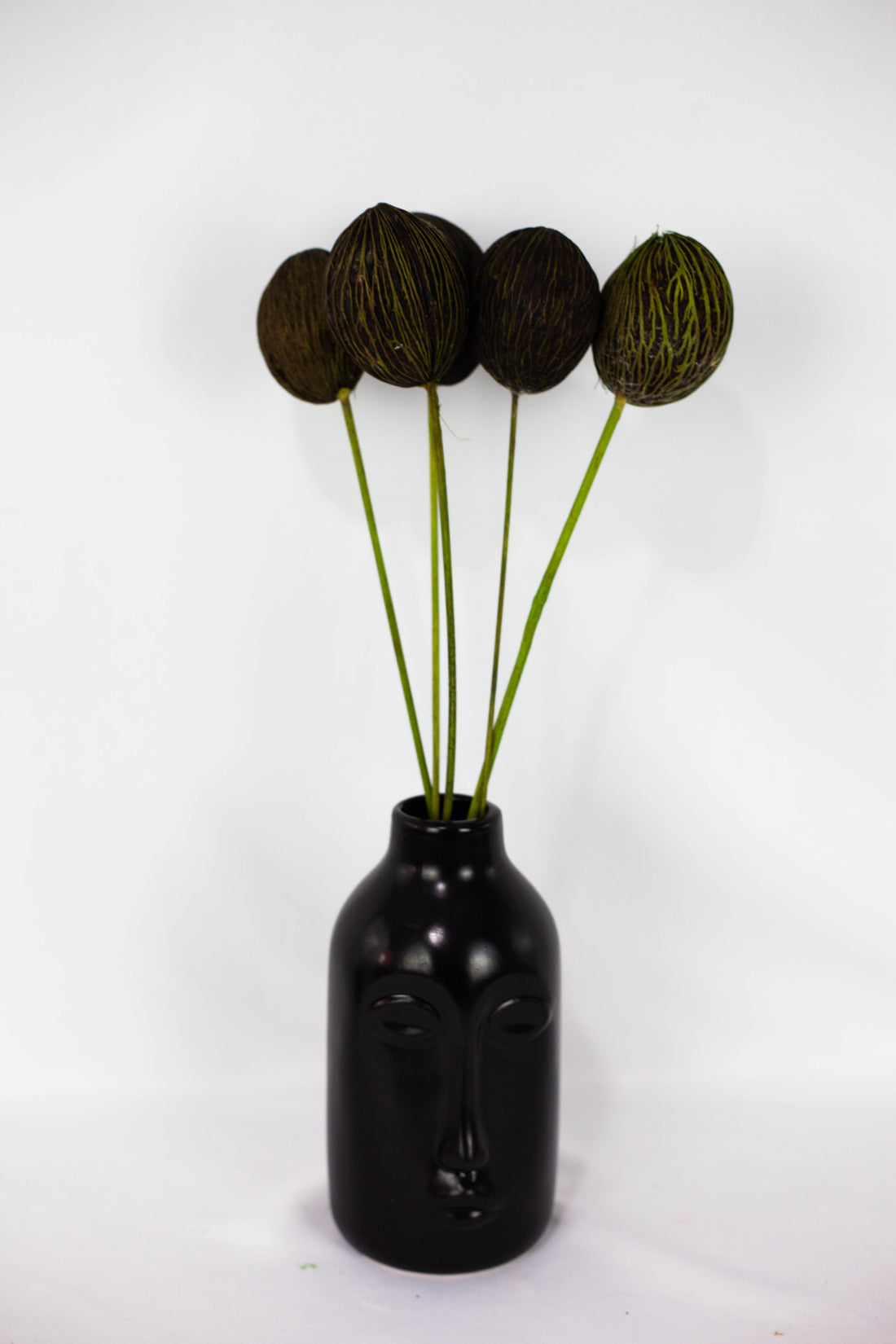Mintola ball