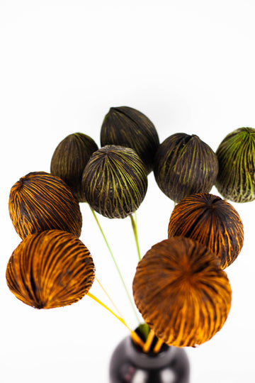 Mintola ball