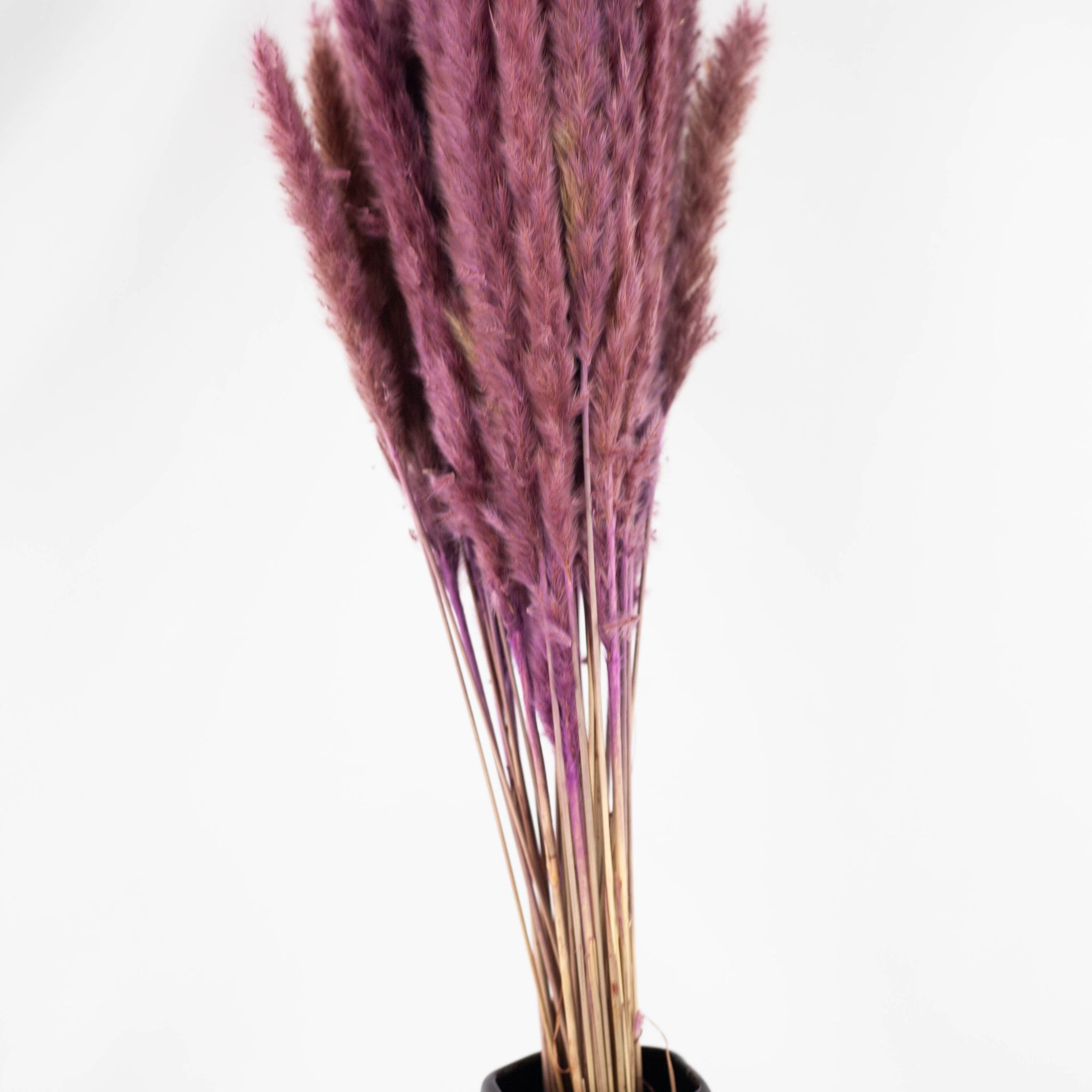 Pluma Decorativa Mini lila