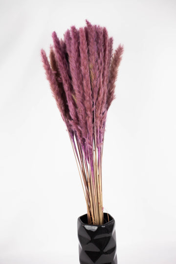 Pluma Decorativa Mini lila