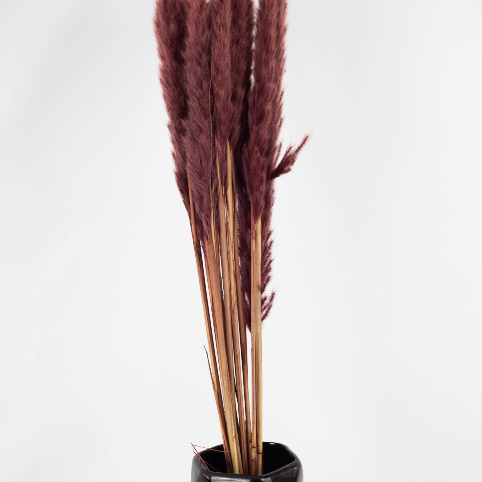 Pluma Decorativa Mini Marrón Oscuro