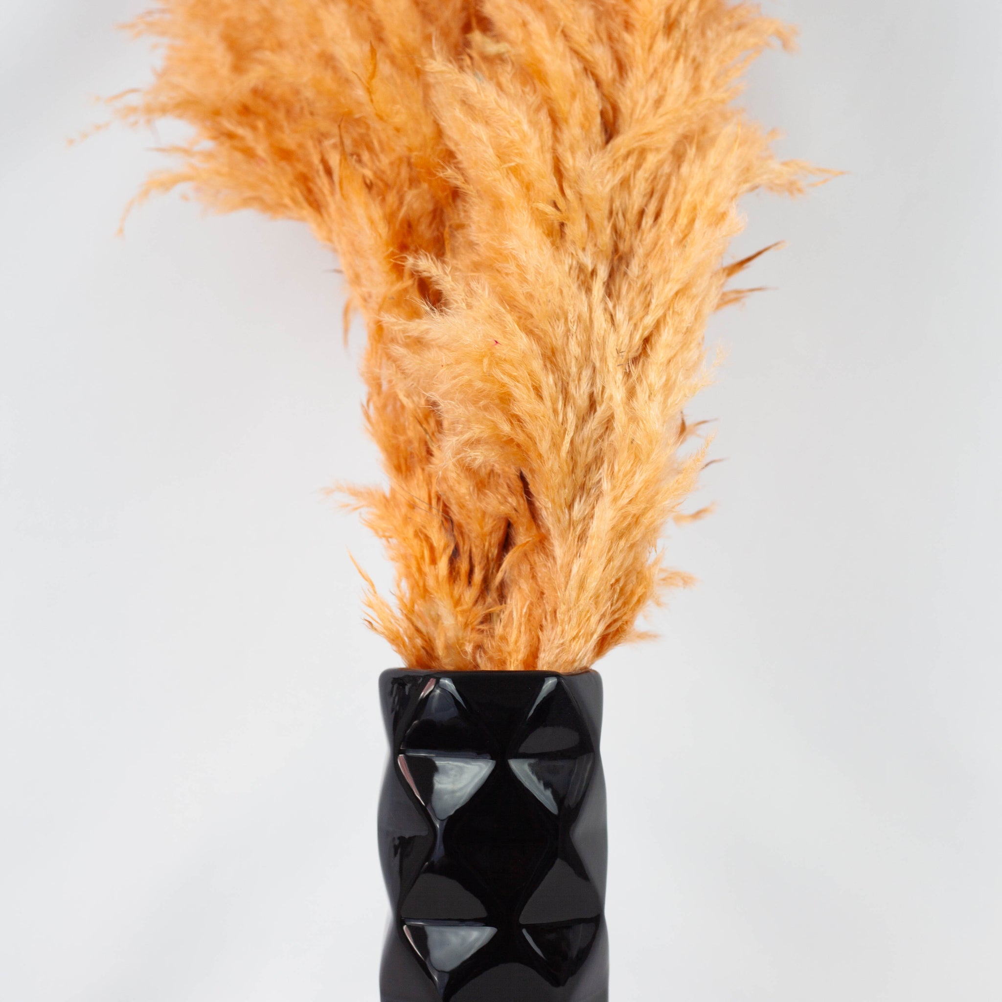 Pluma Decorativa Naranja