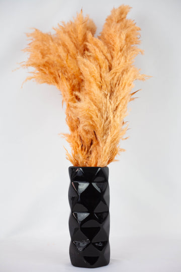 Pluma Decorativa Naranja