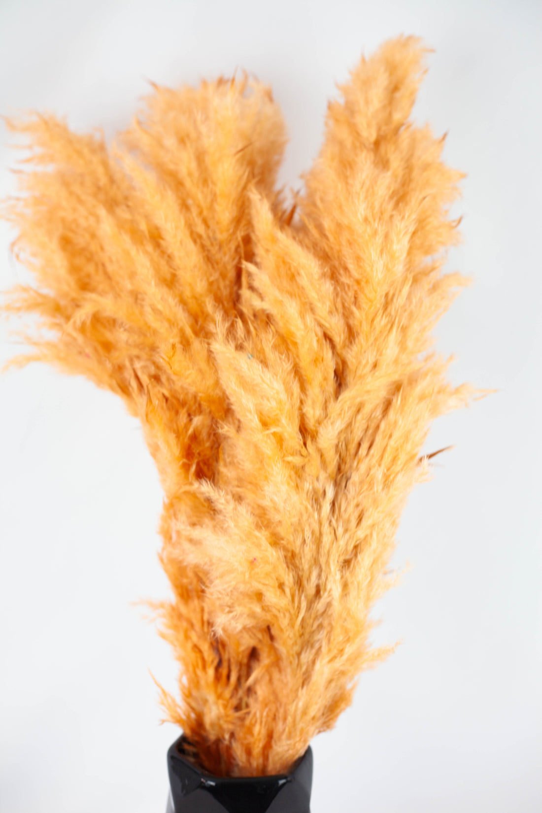 Pluma Decorativa Naranja
