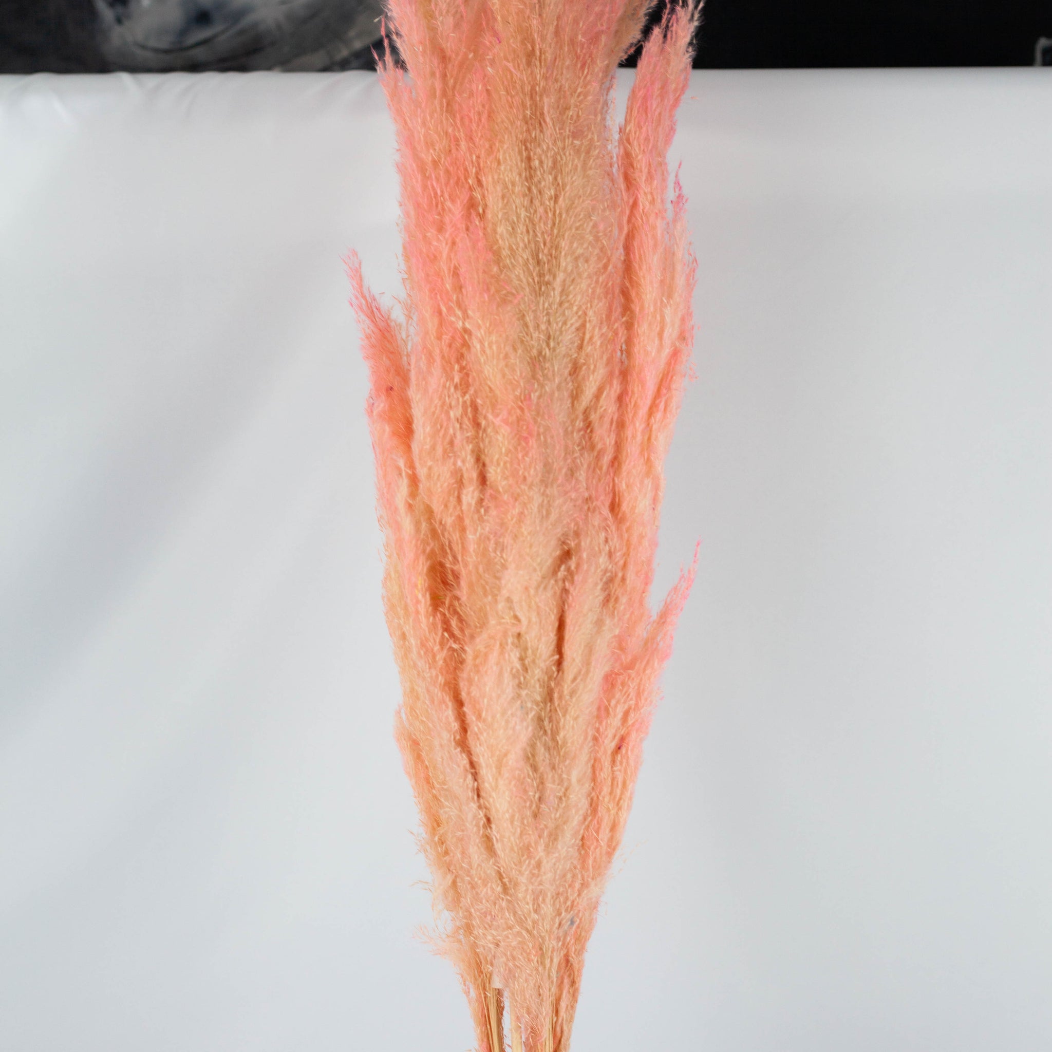 Pluma Decorativa Rosa