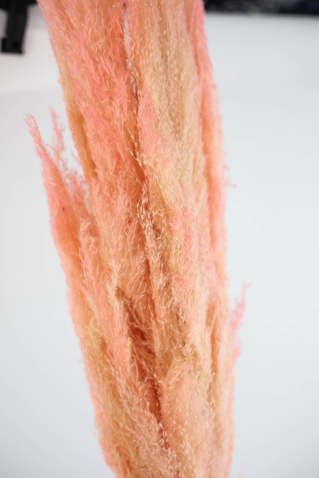 Pluma Decorativa Rosa