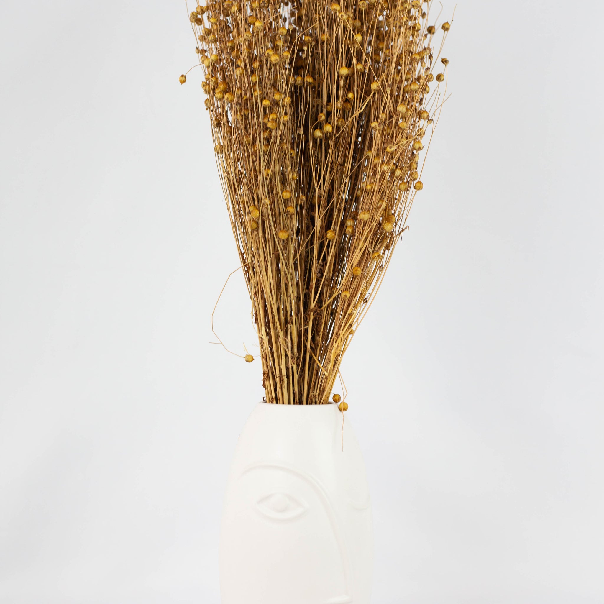 Lino Natural