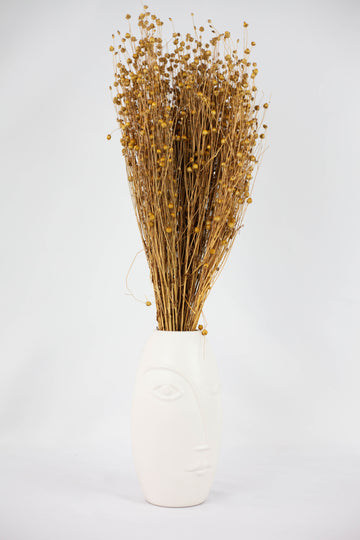 Lino Natural