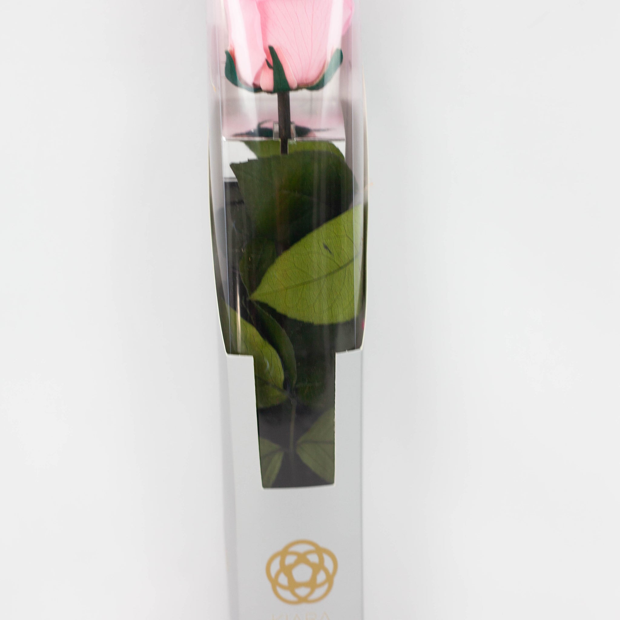 Rosas con tallo Kiara Rosa