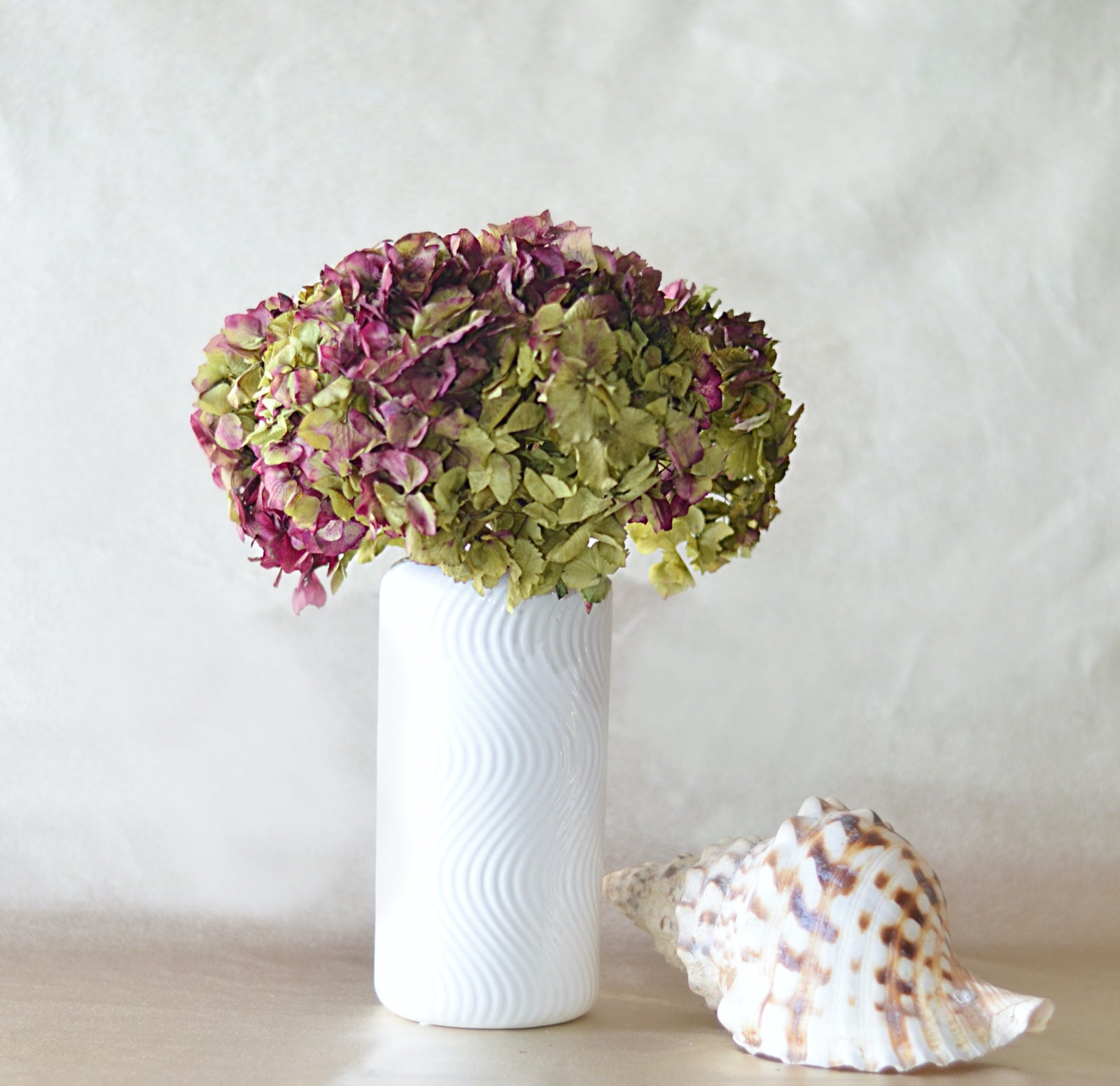 Hortensia Press Calidad 2 Natural y Morada