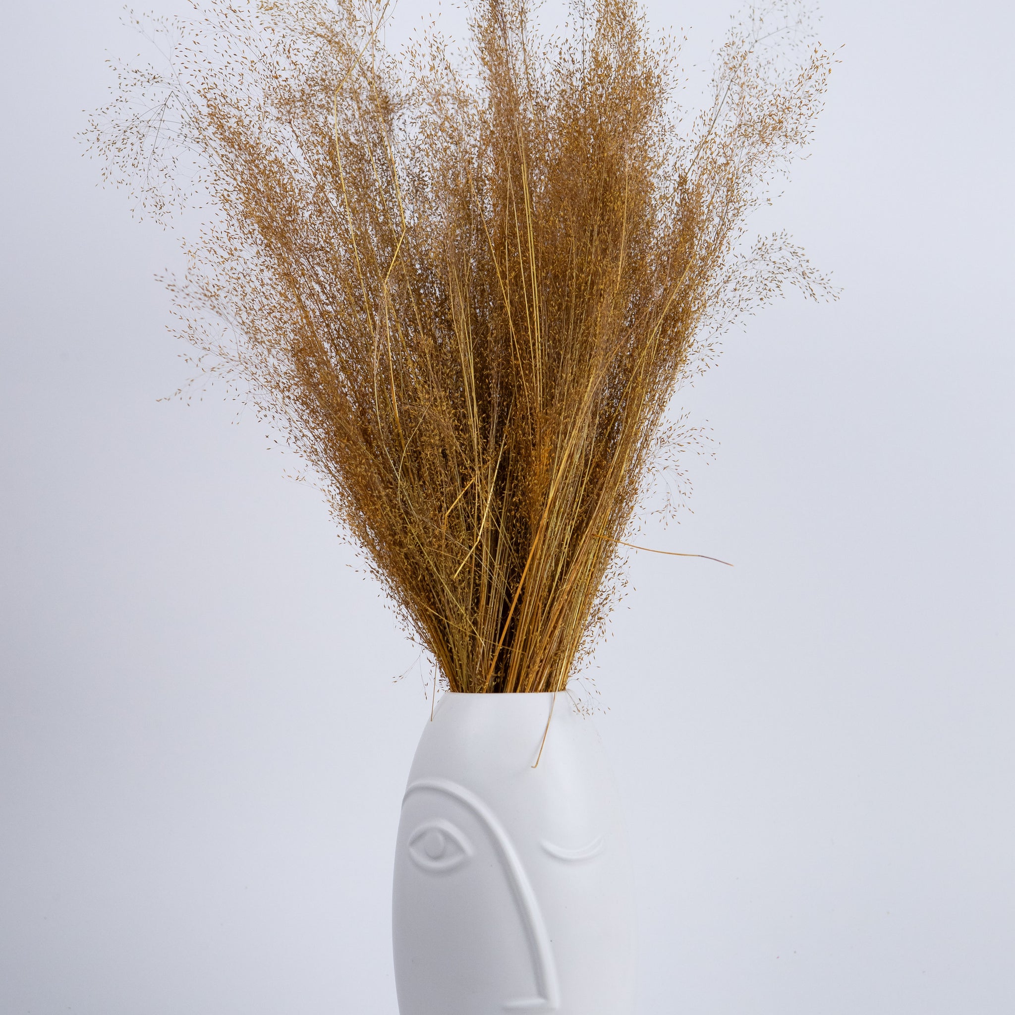 Agrostis Seco Naranja