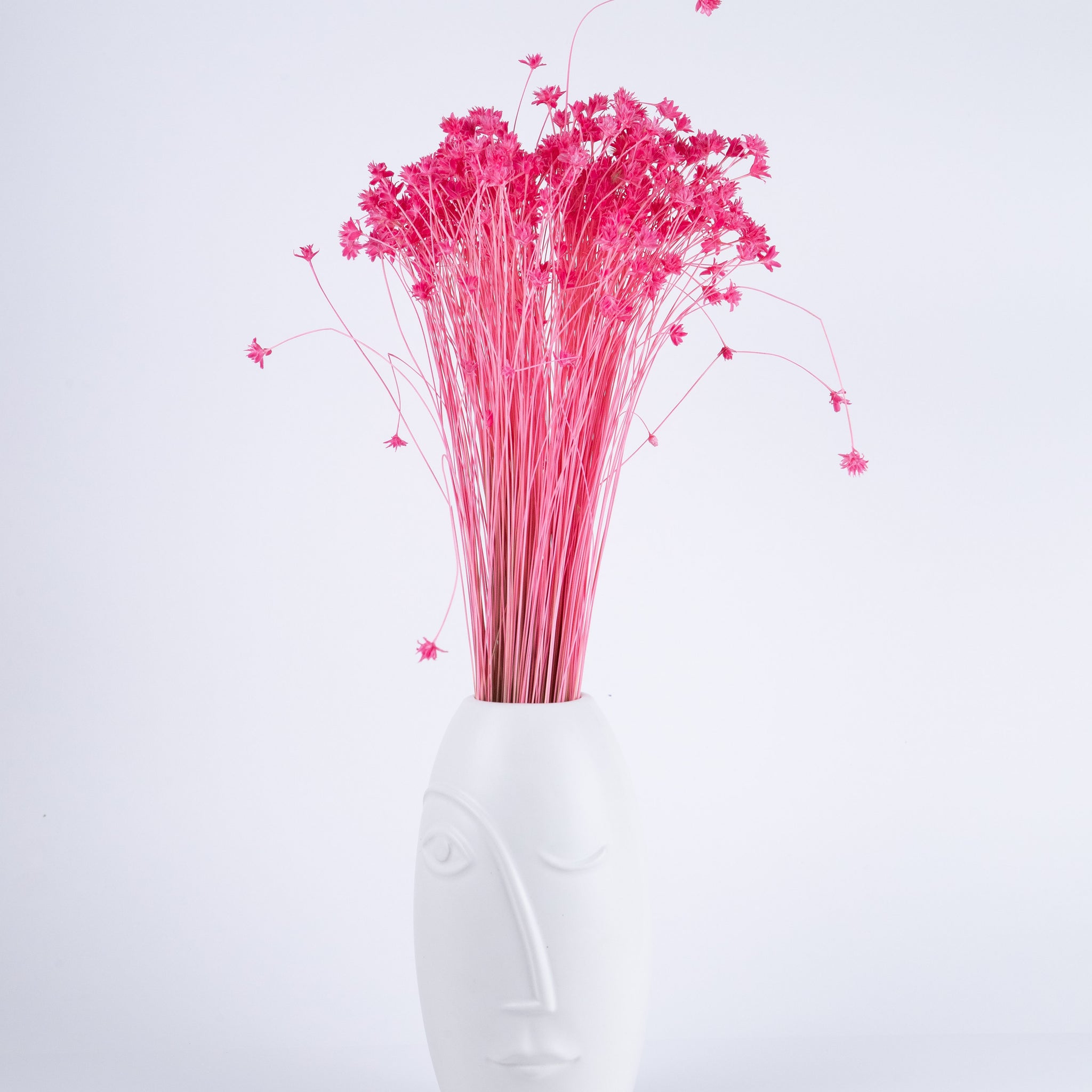 Hill Flower Seca Fucisa