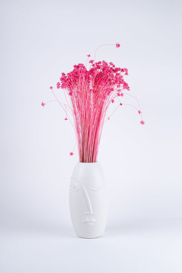 Hill Flower Seca Fucisa