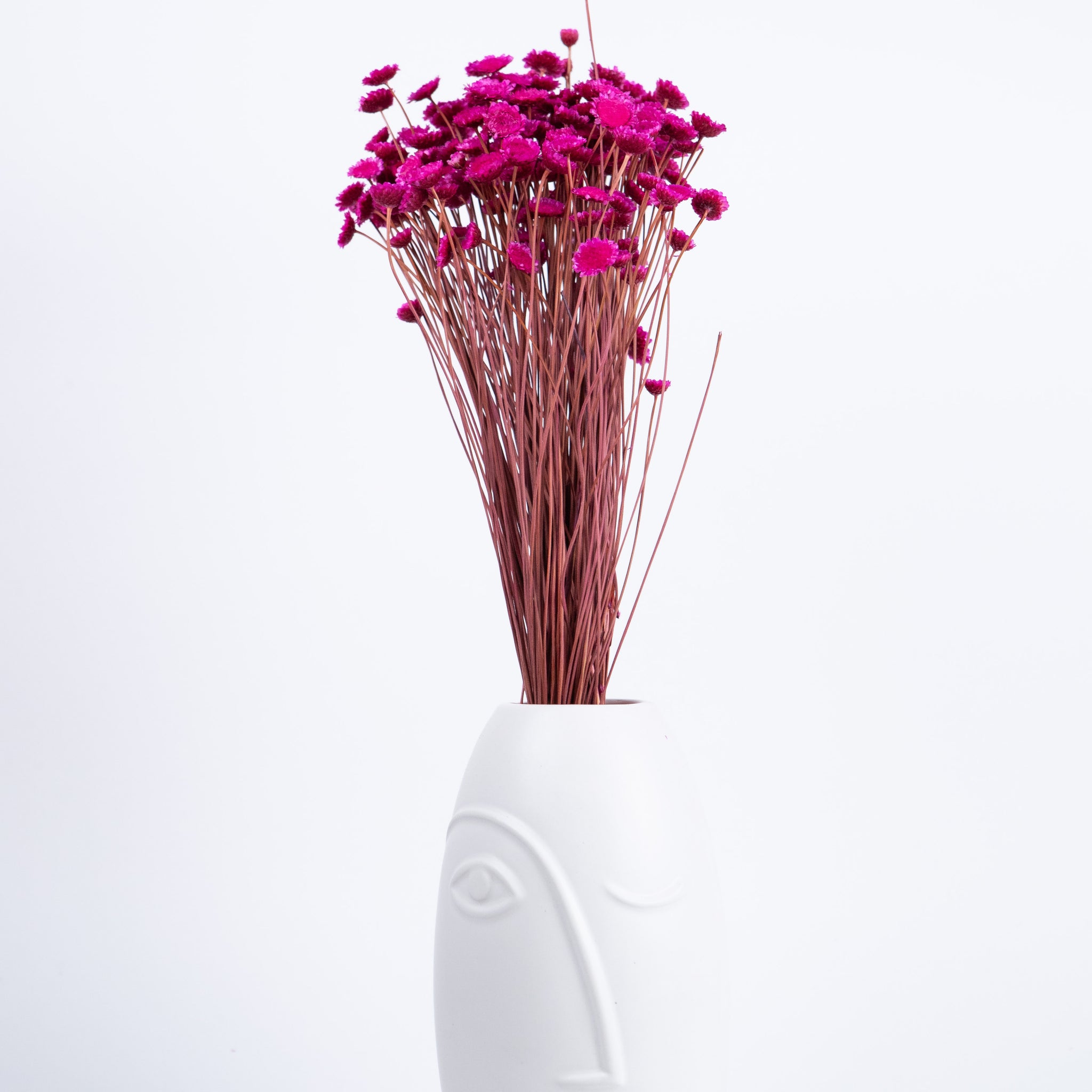 Margaret Preservada Fucsia