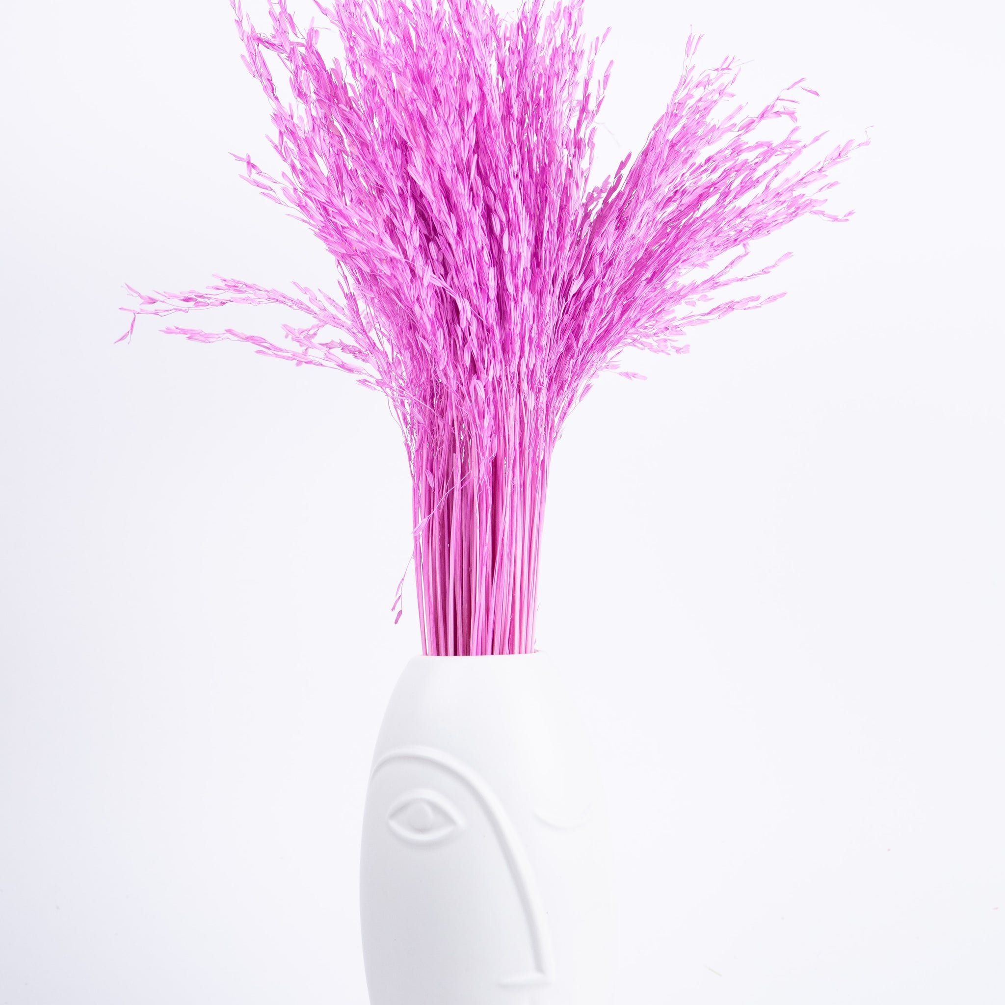 Oriza Preservada Fucsia