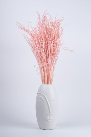 Oriza Preservada Rosa