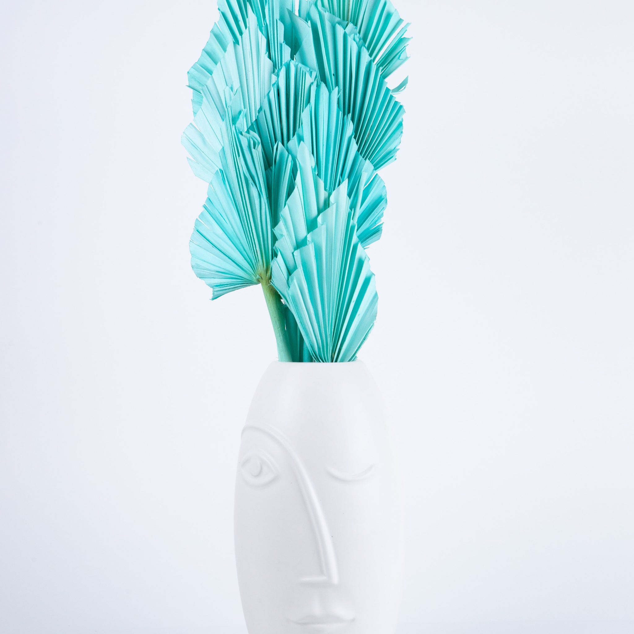 Palm Spear Celeste