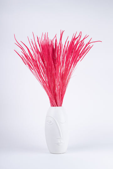Phleum Preservado Rojo