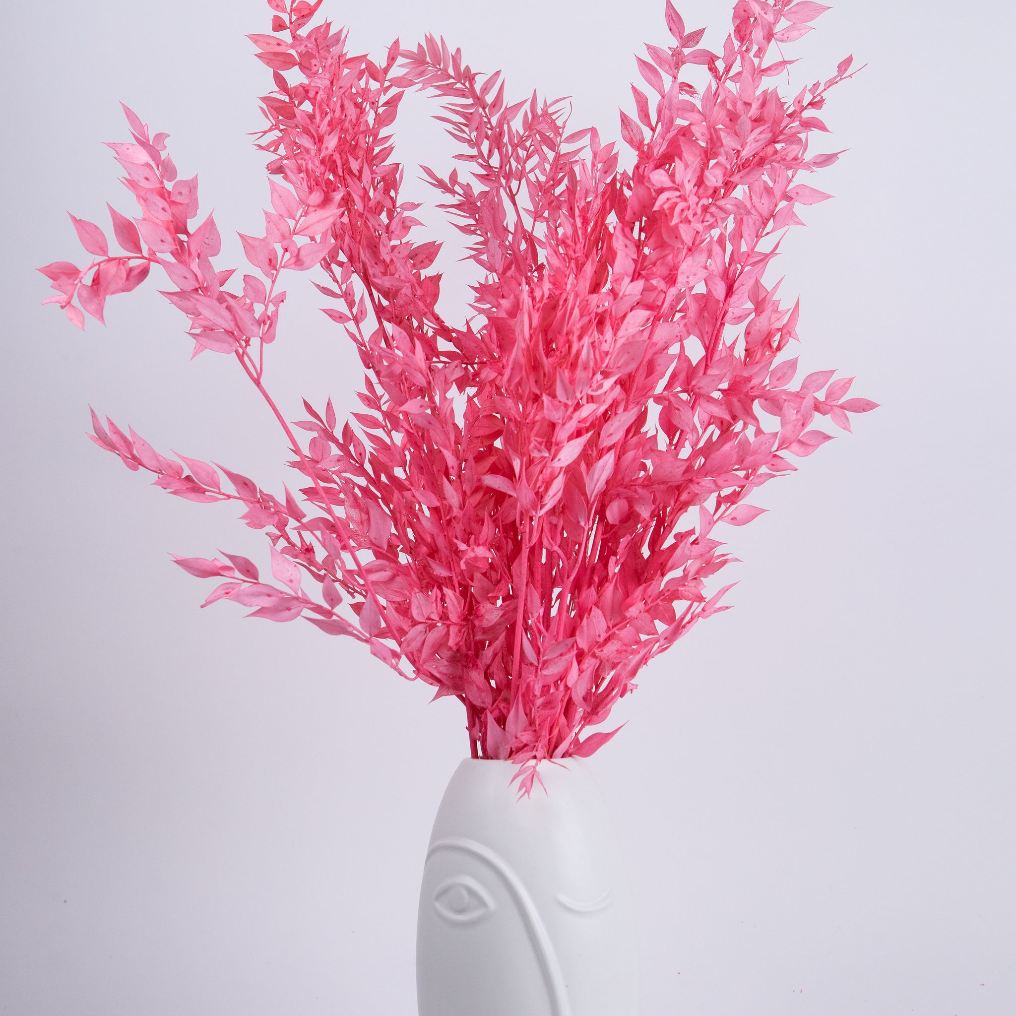 Ruscus Preservado Fucsia