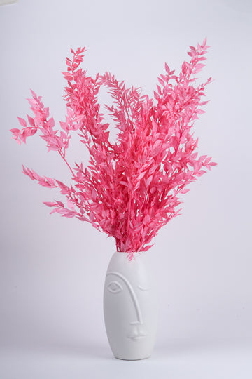 Ruscus Preservado Fucsia